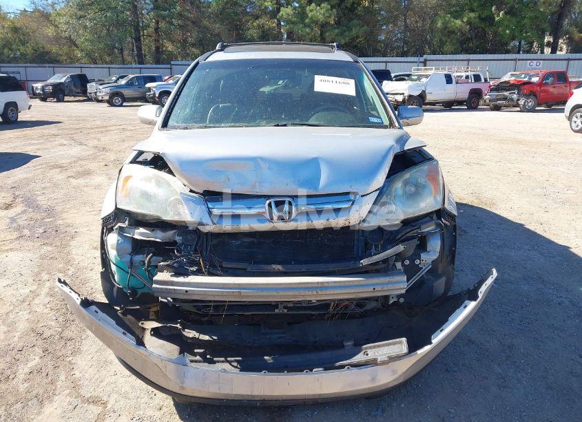 Photo 12 of 2009 Honda Cr-v EX-L (VIN 5J6RE38709L008584)