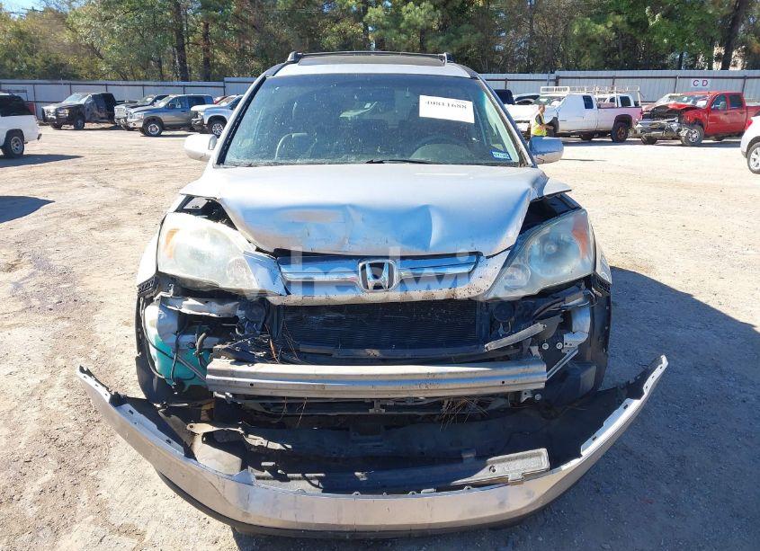 Photo 6 of 2009 Honda Cr-v EX-L (VIN 5J6RE38709L008584)