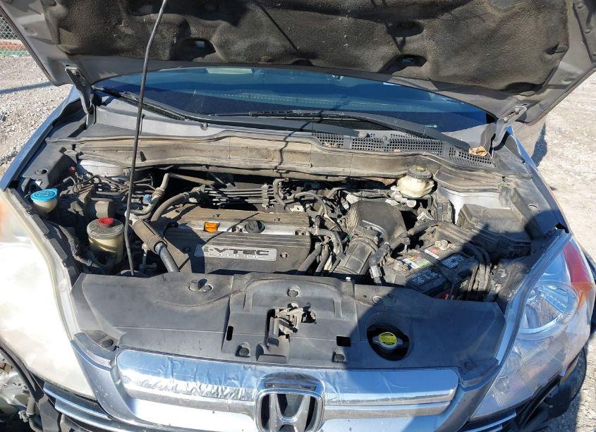 Photo 10 of 2009 Honda Cr-v EX-L (VIN 5J6RE38709L015924)