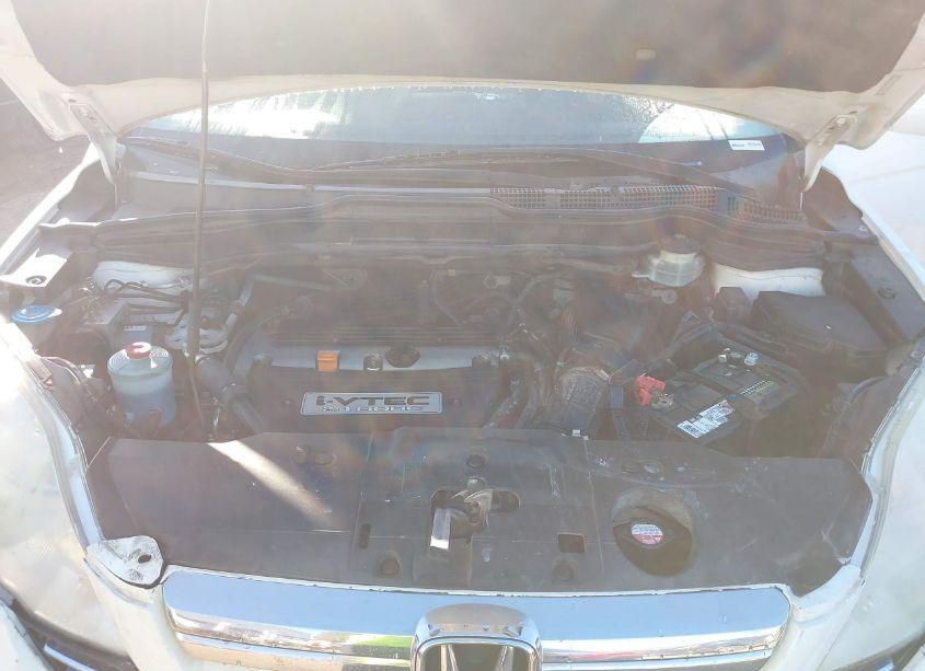 Photo 10 of 2009 Honda Cr-v EX-L (VIN 5J6RE38709L019617)