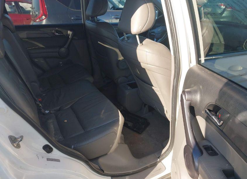 Photo 8 of 2009 Honda Cr-v EX-L (VIN 5J6RE38709L019617)