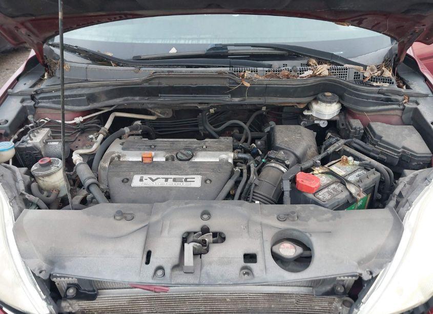 Photo 10 of 2008 Honda Cr-v EX-L (VIN 5J6RE38718L003070)