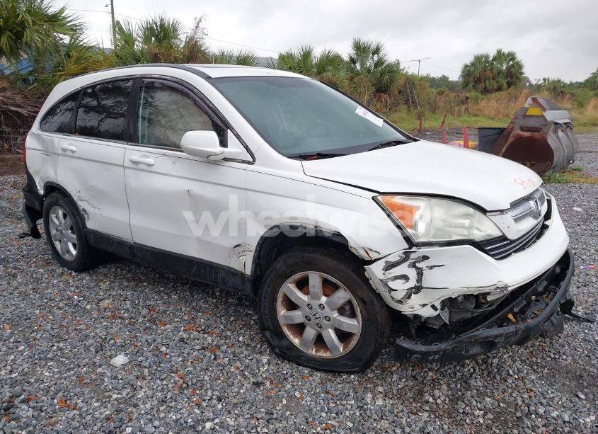 2008 Honda Cr-v EX-L (VIN 5J6RE38718L007829) main photo