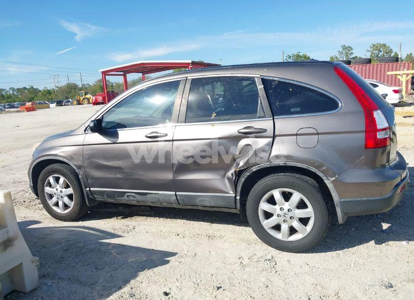 Photo 14 of 2009 Honda Cr-v EX-L (VIN 5J6RE38719L007198)