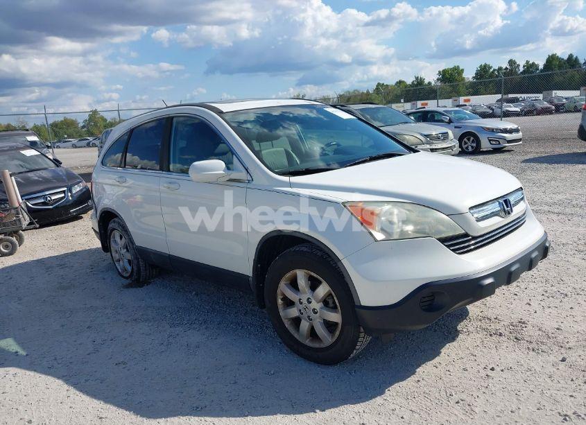 2009 Honda Cr-v EX-L (VIN 5J6RE38729L000440) main photo