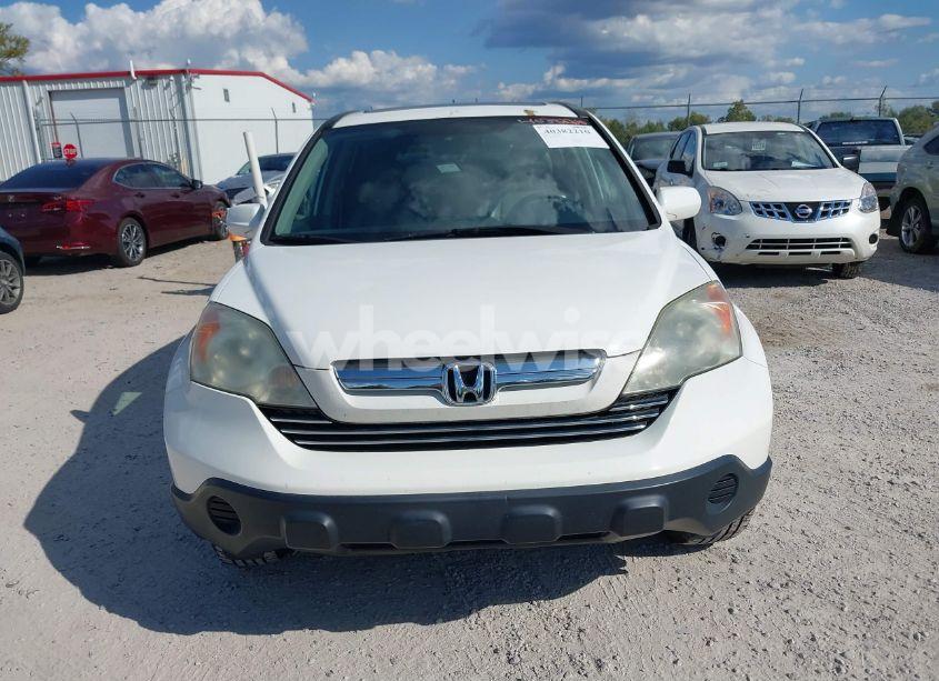 Photo 12 of 2009 Honda Cr-v EX-L (VIN 5J6RE38729L000440)