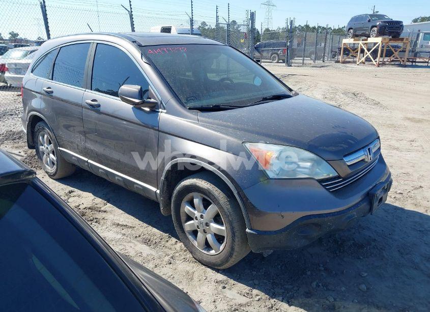2009 Honda Cr-v EX-L (VIN 5J6RE38729L010983) main photo