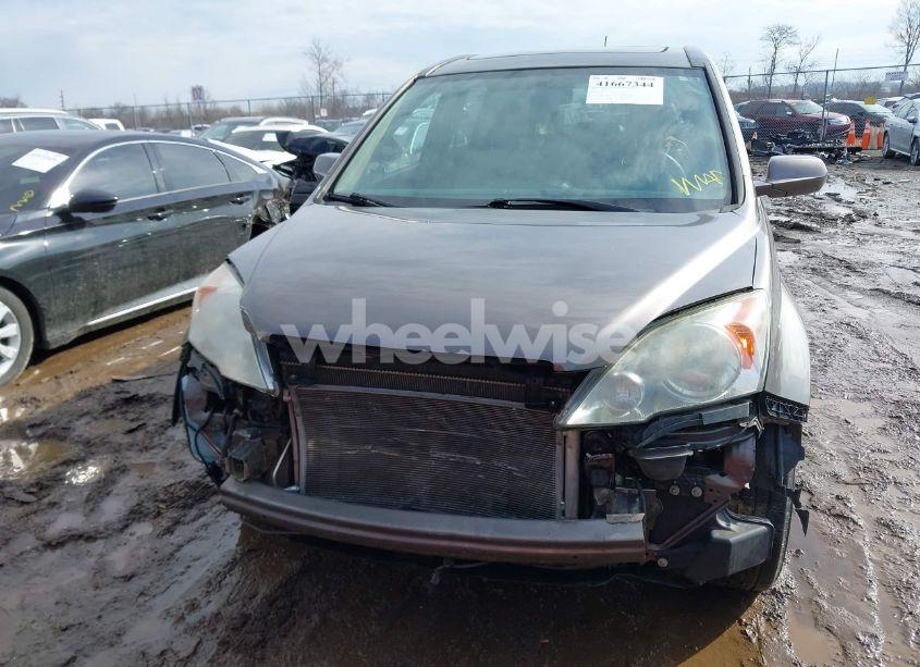 Photo 13 of 2009 Honda Cr-v EX-L (VIN 5J6RE38729L018033)