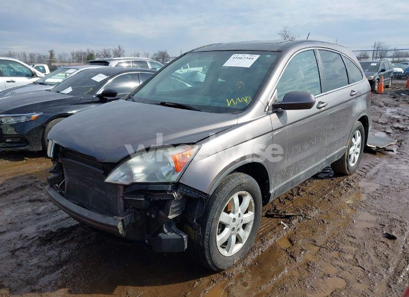 Photo 2 of 2009 Honda Cr-v EX-L (VIN 5J6RE38729L018033)