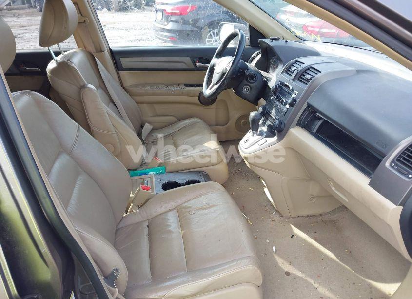 Photo 5 of 2009 Honda Cr-v EX-L (VIN 5J6RE38729L018033)