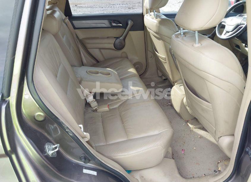 Photo 8 of 2009 Honda Cr-v EX-L (VIN 5J6RE38729L018033)