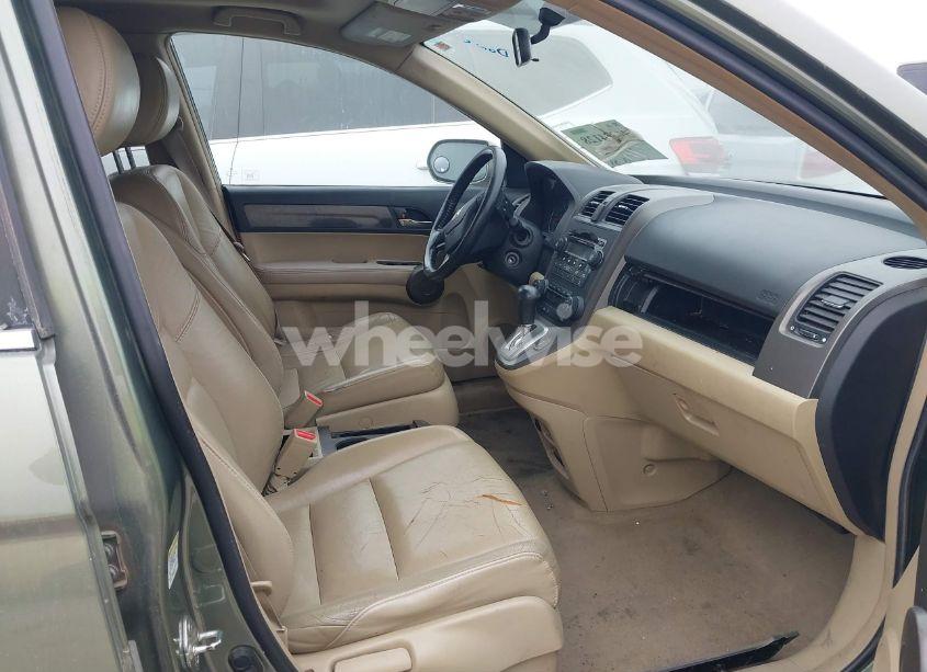 Photo 5 of 2009 Honda Cr-v EX-L (VIN 5J6RE38729L020834)