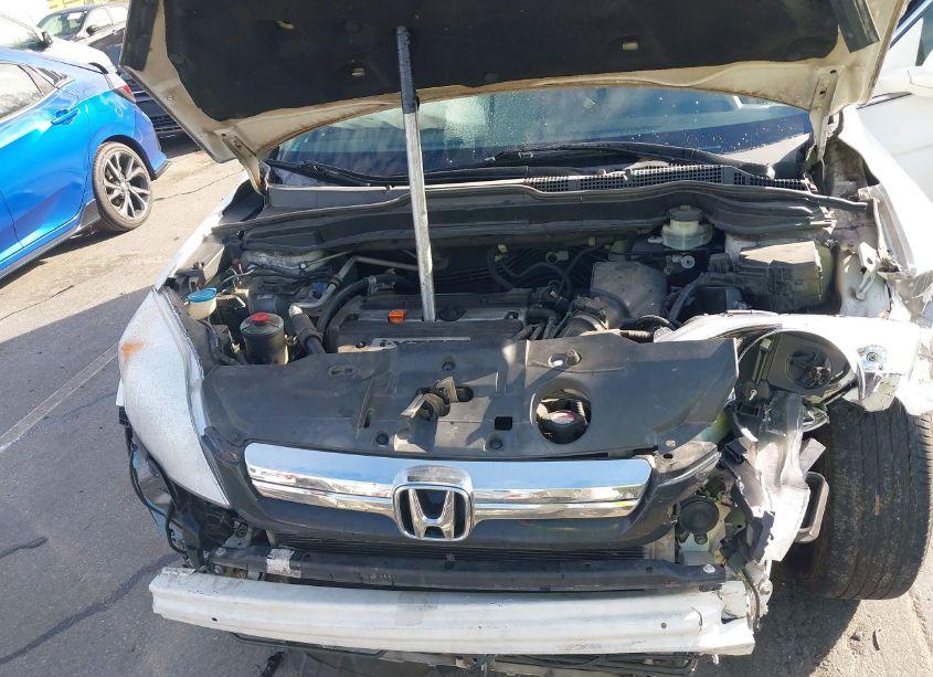 Photo 10 of 2009 Honda Cr-v EX-L (VIN 5J6RE38749L031253)