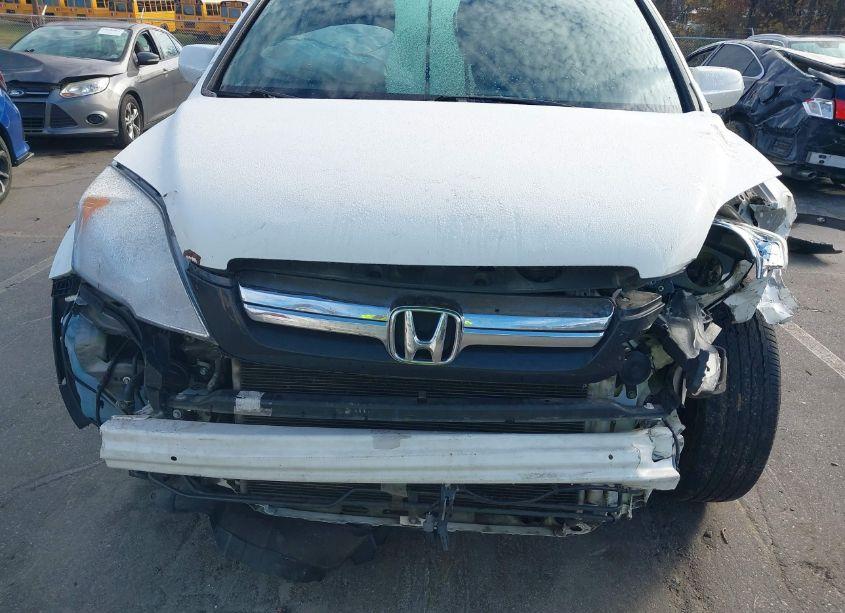 Photo 12 of 2009 Honda Cr-v EX-L (VIN 5J6RE38749L031253)