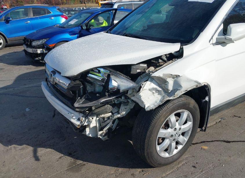 Photo 6 of 2009 Honda Cr-v EX-L (VIN 5J6RE38749L031253)