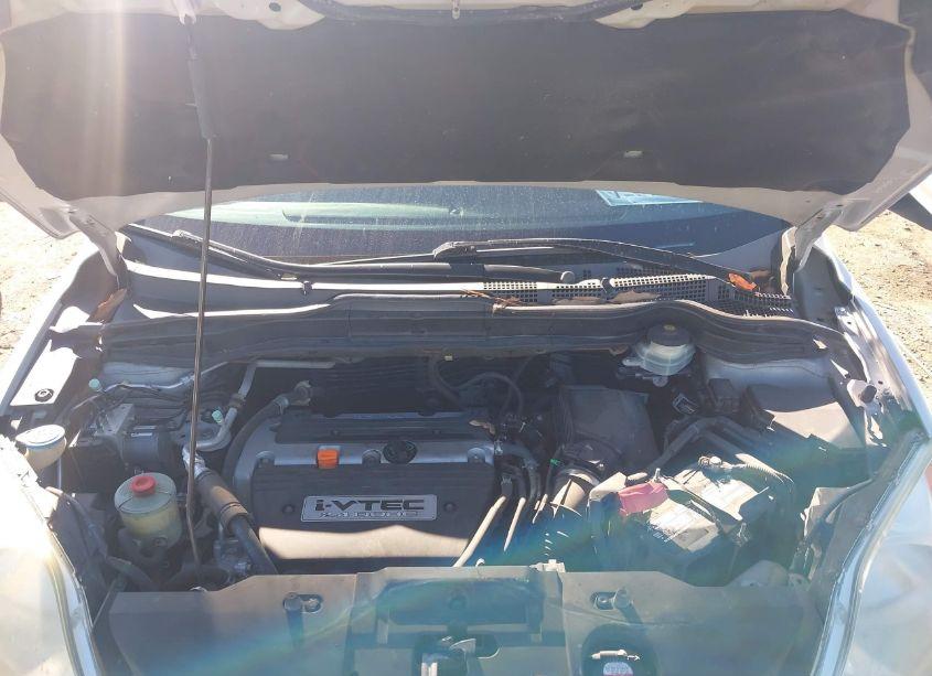 Photo 10 of 2009 Honda Cr-v EX-L (VIN 5J6RE38759L007477)