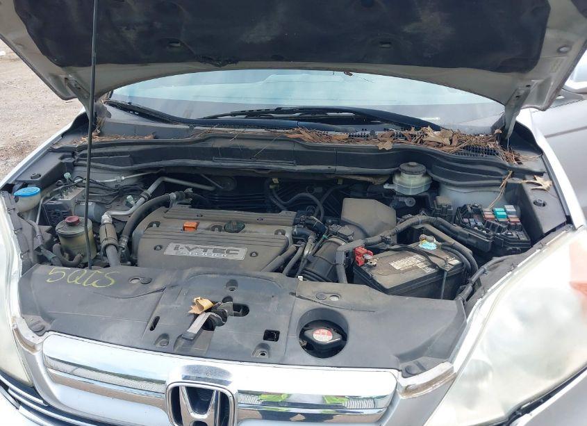 Photo 10 of 2009 Honda Cr-v EX-L (VIN 5J6RE38759L029771)