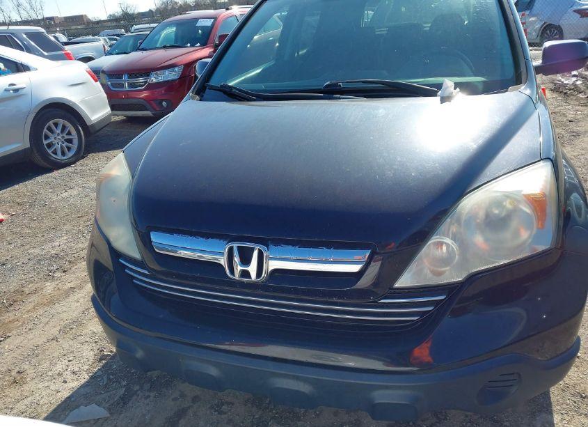 Photo 12 of 2009 Honda Cr-v EX-L (VIN 5J6RE38769L014681)