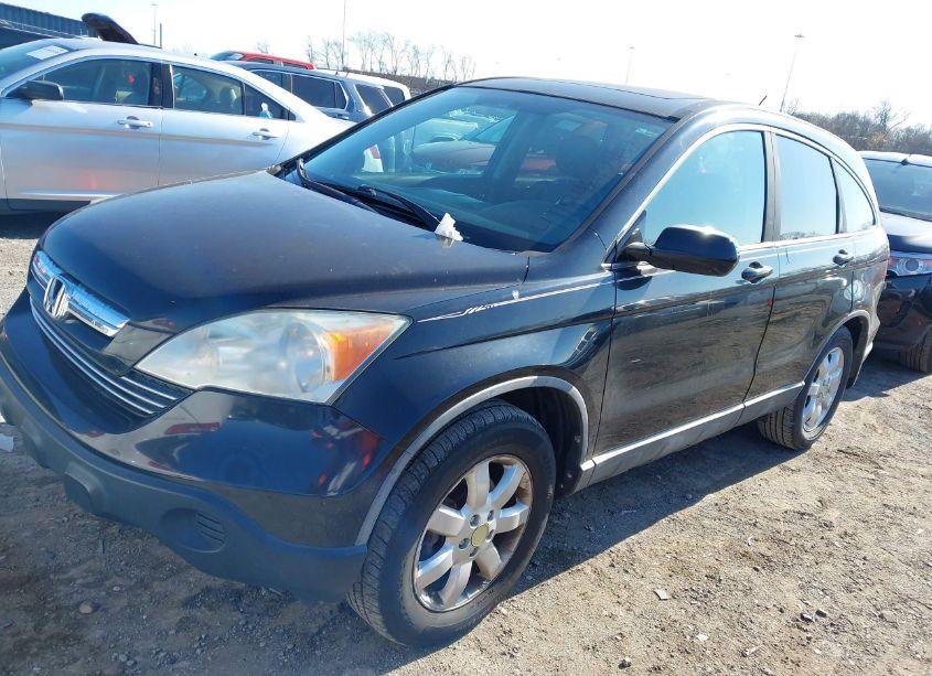 Photo 2 of 2009 Honda Cr-v EX-L (VIN 5J6RE38769L014681)