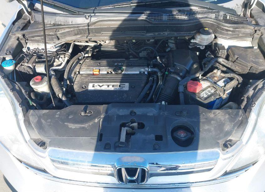 Photo 10 of 2009 Honda Cr-v EXL (VIN 5J6RE38769L025227)