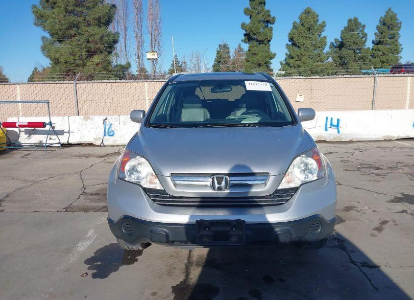 Photo 12 of 2009 Honda Cr-v EXL (VIN 5J6RE38769L025227)