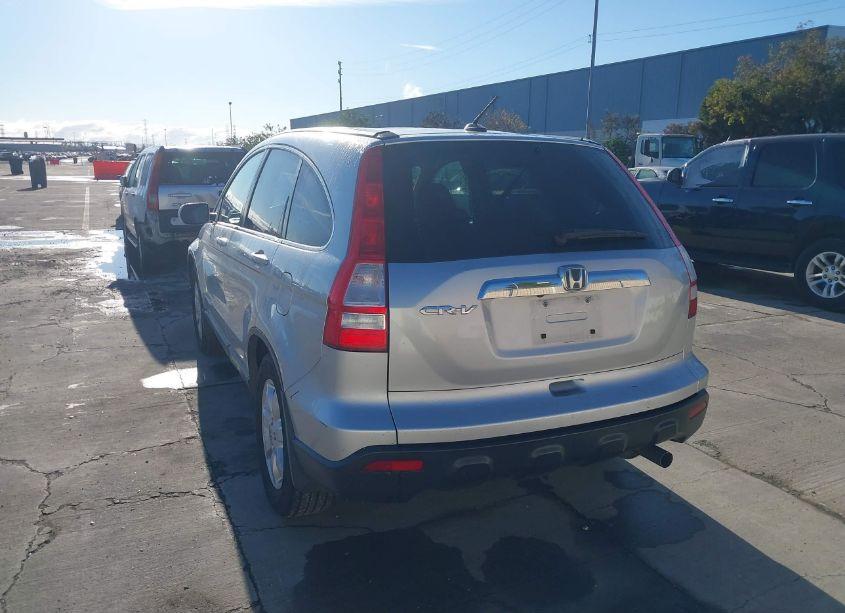 Photo 3 of 2009 Honda Cr-v EXL (VIN 5J6RE38769L025227)