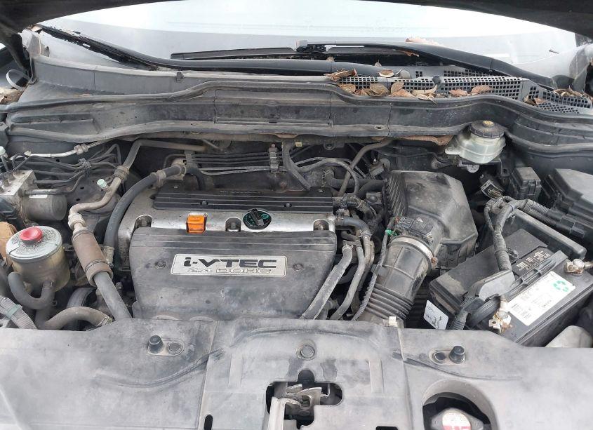 Photo 10 of 2009 Honda Cr-v EX-L (VIN 5J6RE38779L013491)