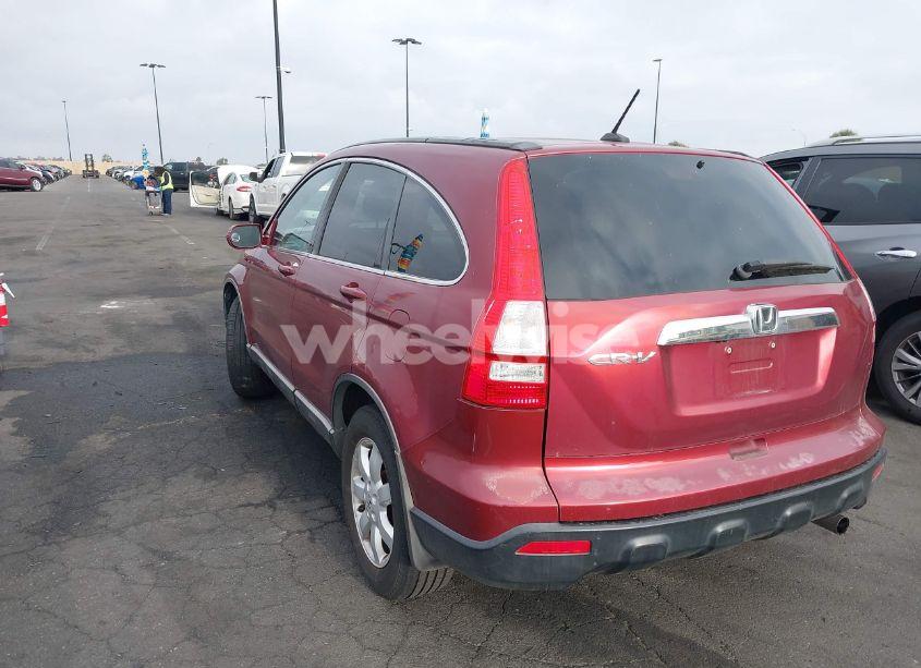 Photo 3 of 2009 Honda Cr-v EX-L (VIN 5J6RE38789L027853)