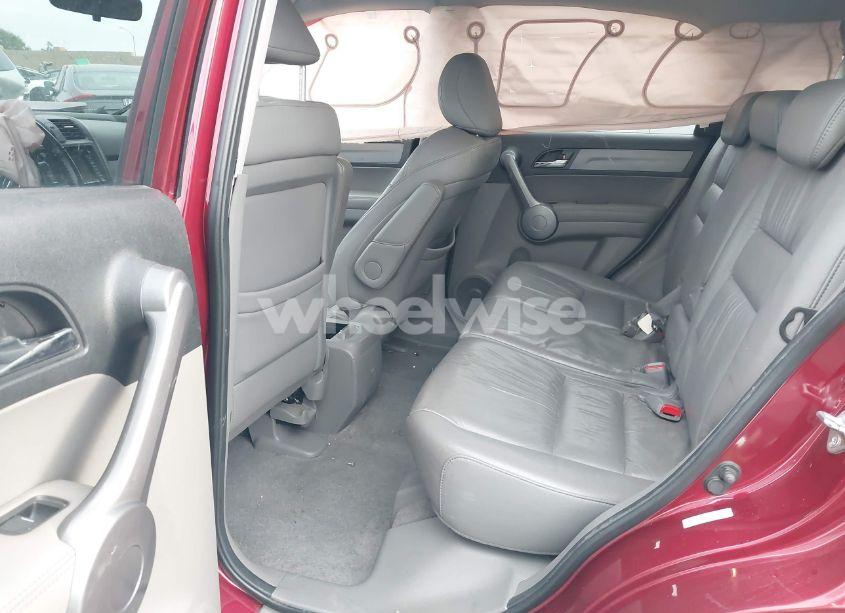 Photo 8 of 2009 Honda Cr-v EX-L (VIN 5J6RE38789L027853)