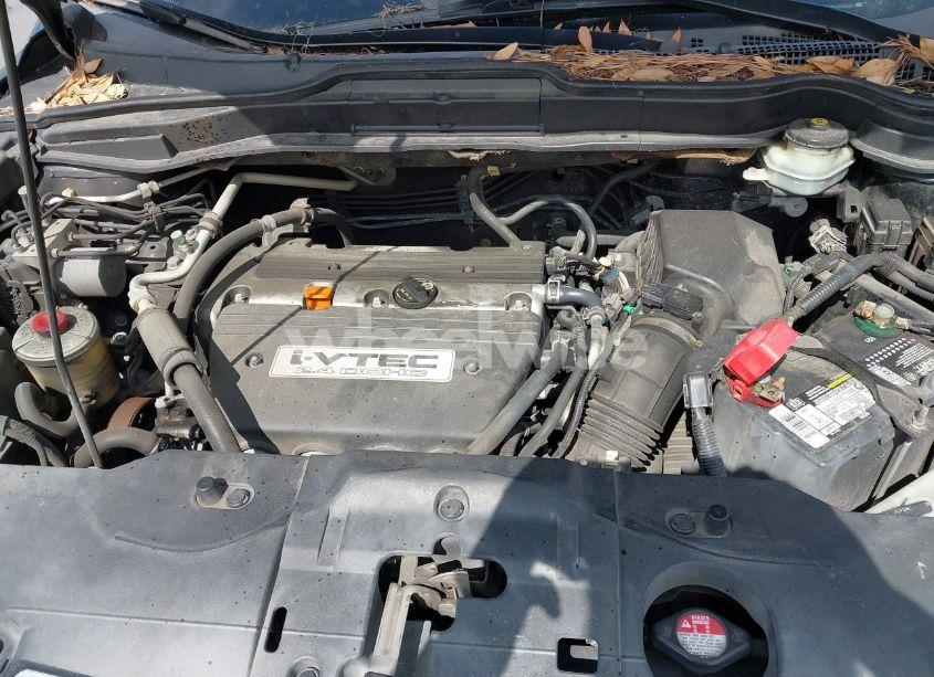 Photo 10 of 2008 Honda Cr-v EX-L (VIN 5J6RE387X8L001804)