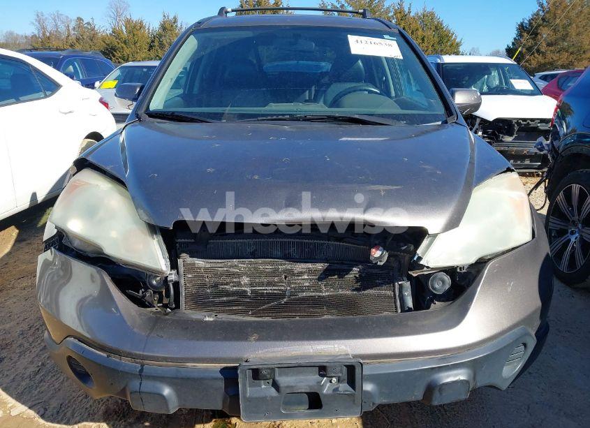 Photo 12 of 2009 Honda Cr-v EX-L (VIN 5J6RE387X9L020757)