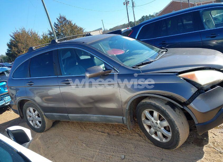 Photo 13 of 2009 Honda Cr-v EX-L (VIN 5J6RE387X9L020757)