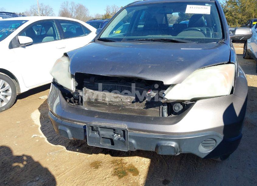 Photo 6 of 2009 Honda Cr-v EX-L (VIN 5J6RE387X9L020757)