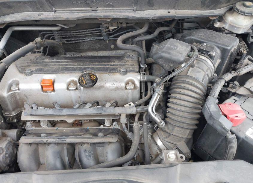 Photo 10 of 2010 Honda Cr-v LX (VIN 5J6RE3H32AL018566)