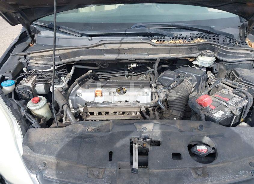 Photo 10 of 2010 Honda Cr-v LX (VIN 5J6RE3H34AL020478)