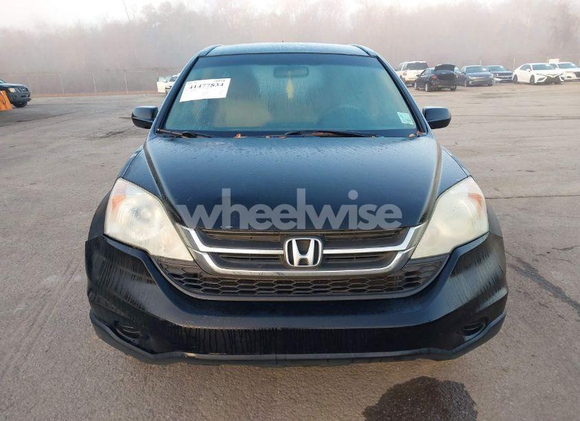 Photo 12 of 2010 Honda Cr-v LX (VIN 5J6RE3H35AL030890)