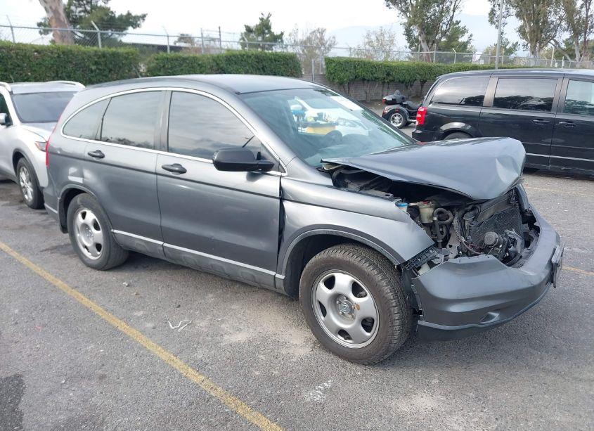 2010 Honda Cr-v LX (VIN 5J6RE3H36AL009062) main photo