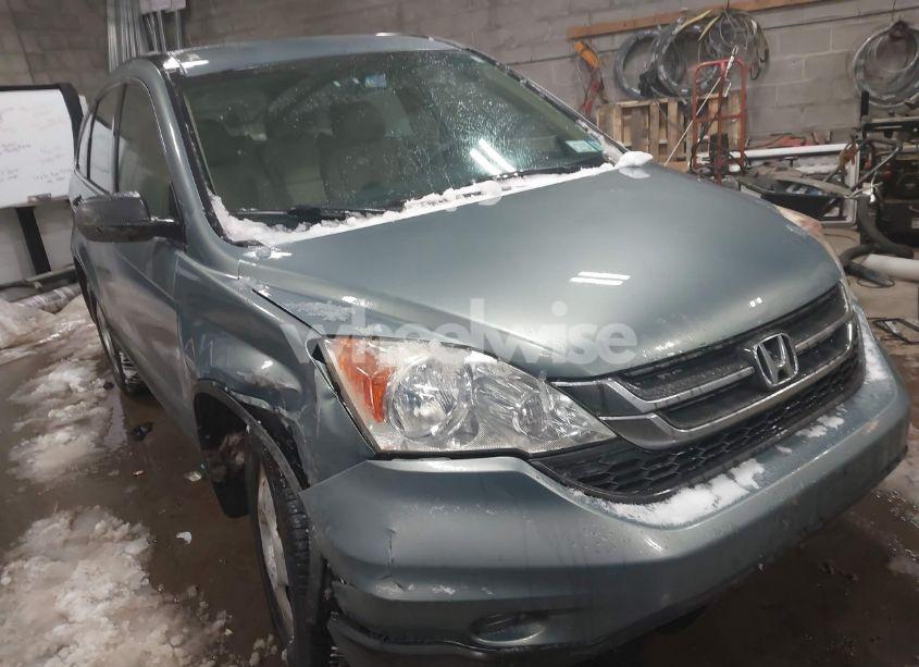 2010 Honda Cr-v LX (VIN 5J6RE3H39AL050351) main photo