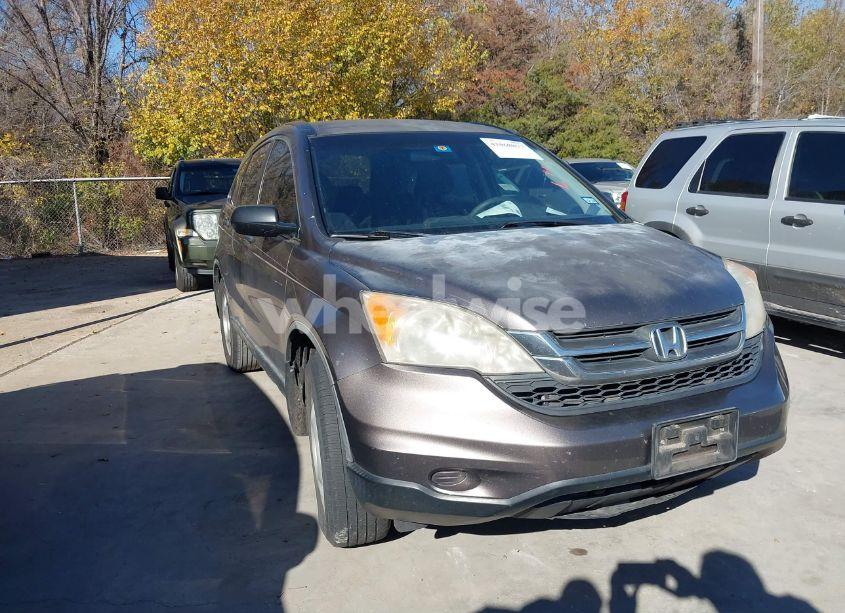 2011 Honda Cr-v LX (VIN 5J6RE3H39BL037438) main photo