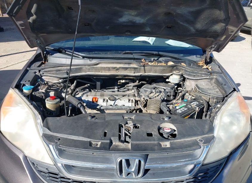 Photo 10 of 2011 Honda Cr-v LX (VIN 5J6RE3H39BL037438)