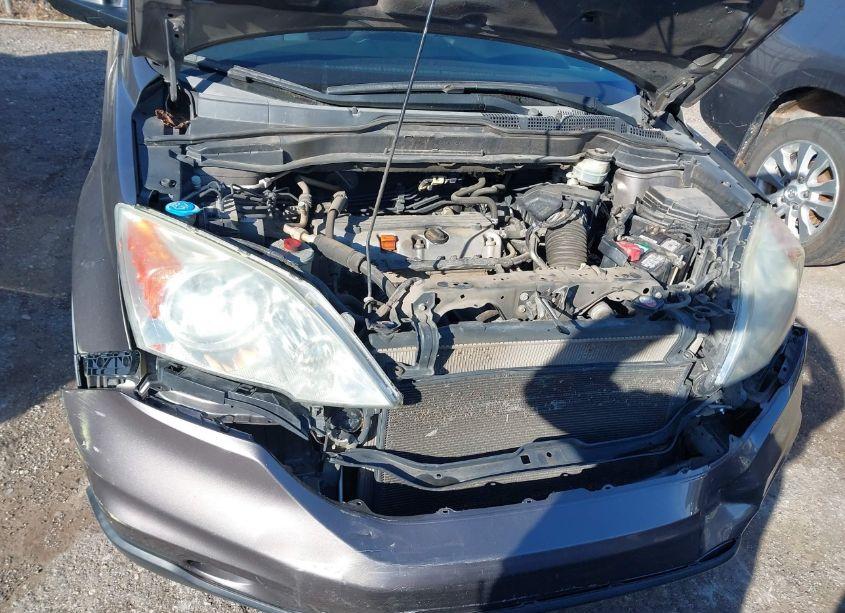 Photo 10 of 2010 Honda Cr-v LX (VIN 5J6RE3H3XAL012482)