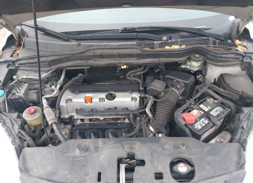 Photo 10 of 2011 Honda Cr-v SE (VIN 5J6RE3H40BL003266)