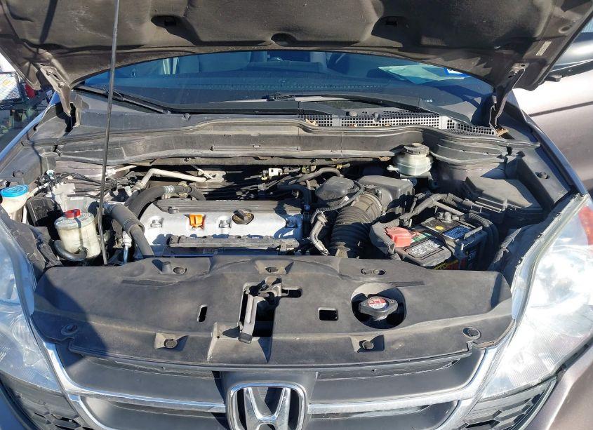 Photo 10 of 2011 Honda Cr-v SE (VIN 5J6RE3H44BL031801)