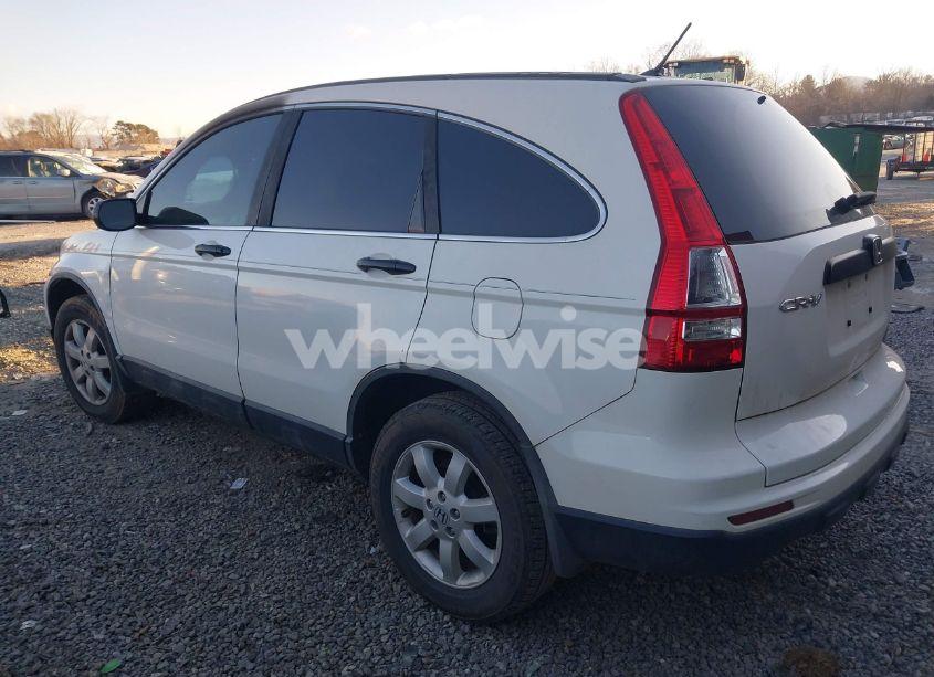 Photo 3 of 2011 Honda Cr-v SE (VIN 5J6RE3H46BL003496)