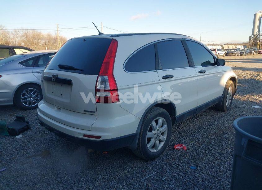 Photo 4 of 2011 Honda Cr-v SE (VIN 5J6RE3H46BL003496)