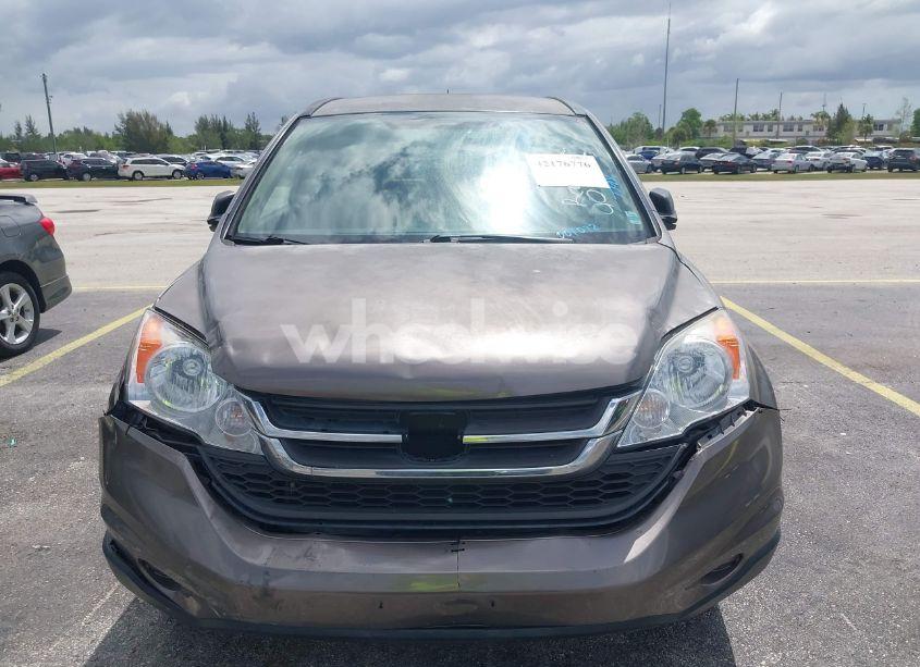 Photo 6 of 2011 Honda Cr-v SE (VIN 5J6RE3H4XBL001072)