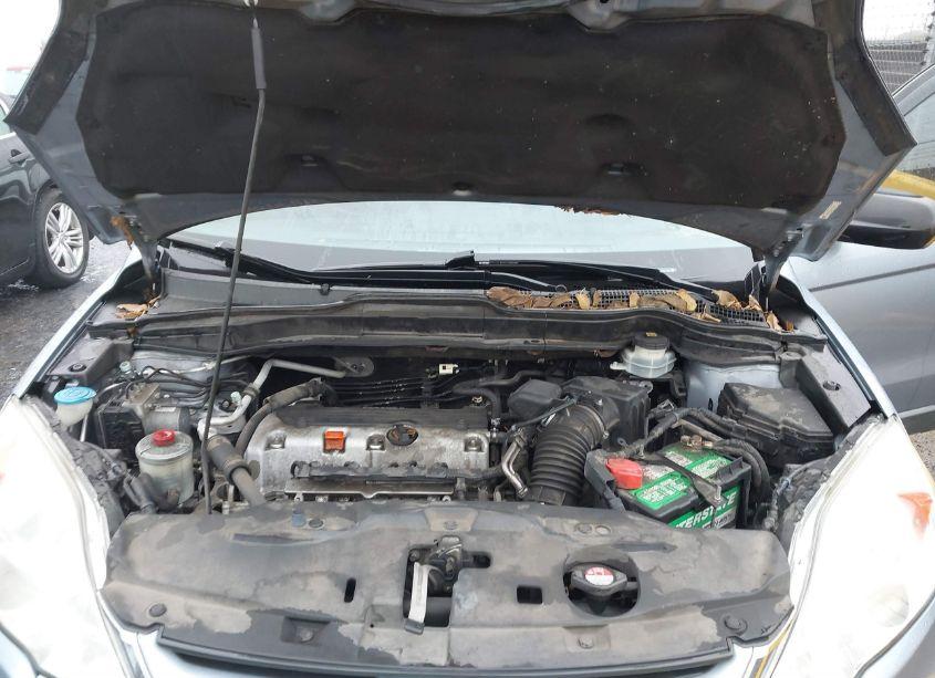 Photo 10 of 2011 Honda Cr-v EX (VIN 5J6RE3H51BL055546)