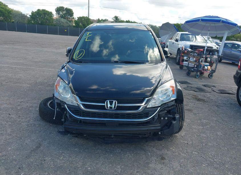 Photo 12 of 2010 Honda Cr-v EX (VIN 5J6RE3H57AL005300)