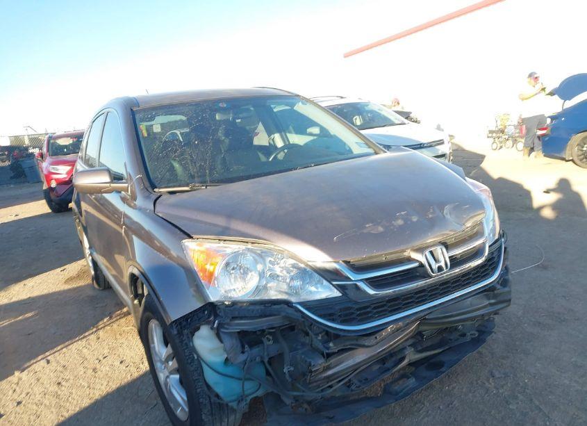 2011 Honda Cr-v EX-L (VIN 5J6RE3H70BL025486) main photo