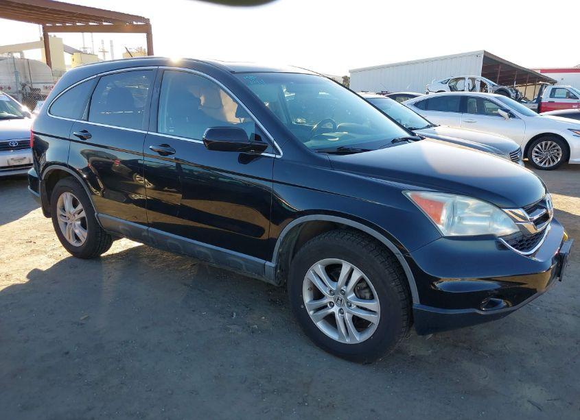 2010 Honda Cr-v EX-L (VIN 5J6RE3H71AL003530) main photo